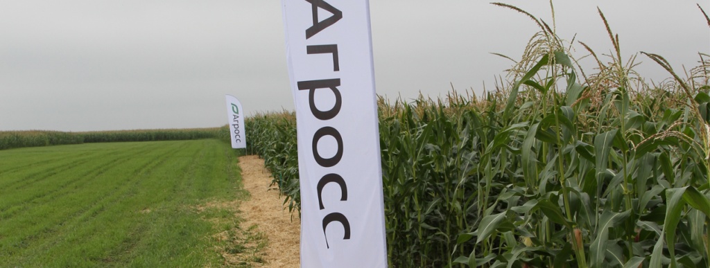 AGROSS_FLAG.jpg AGROSS_FLAG.jpg