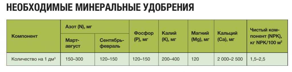 Снимок экрана 2024-03-07 в 10.55.22.png